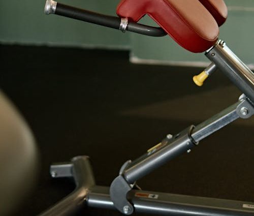The Bodybuilding Lifestyle in the UK: Living the Sport in Britain — Anabolic Guide UK