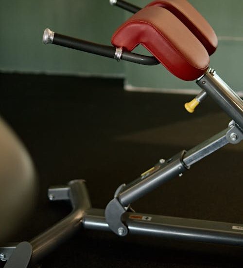 The Bodybuilding Lifestyle in the UK: Living the Sport in Britain — Anabolic Guide UK